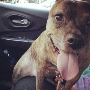 Meet your Posher, Fran